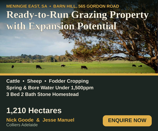 Barn Hill - For Sale Grazing Property 