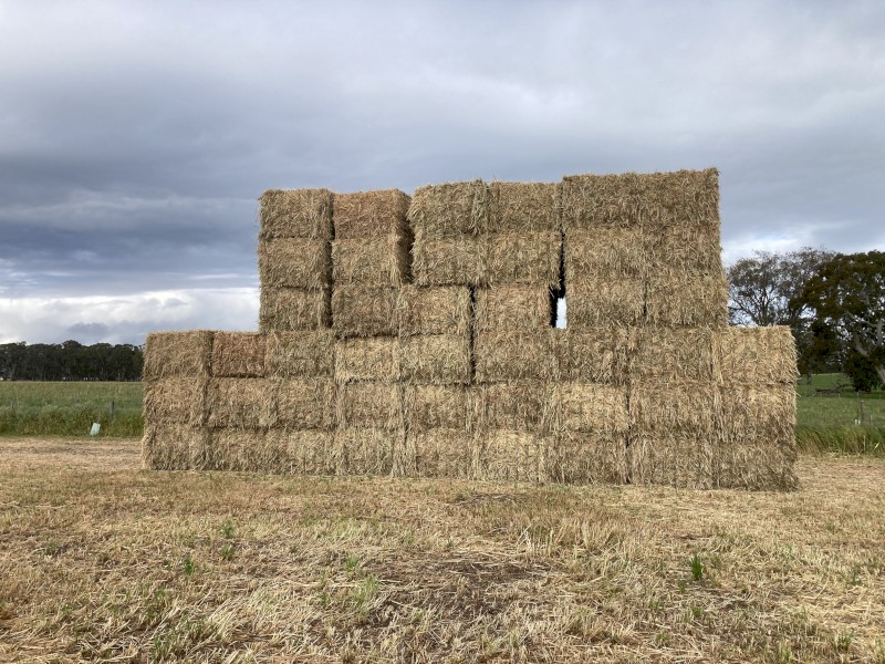 Cereal and Rye Hay