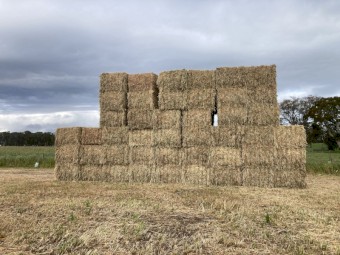 Cereal and Rye Hay