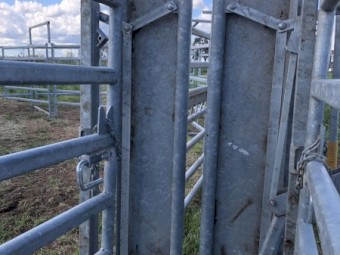 Cattle Yards Portable Gribben Stockyards