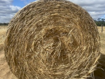 220mt Oaten/Ryegrass Hay 400kg 5x4 Rolls