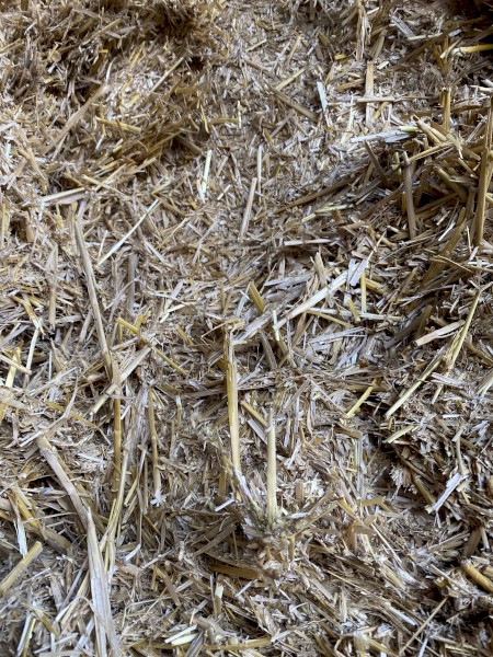 300 x Wheat Straw 500-530kg 8x4x3 Bales