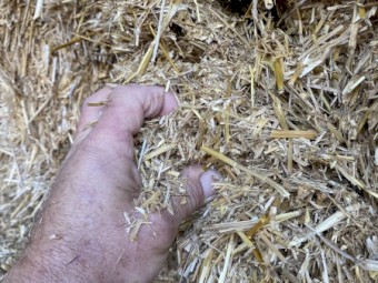 300 x Wheat Straw 500-530kg 8x4x3 Bales