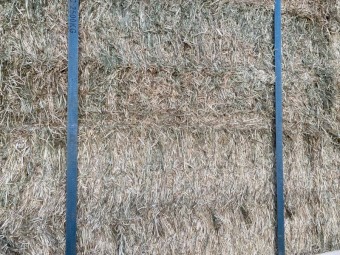 Clover/rye hay