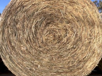 Oaten Hay