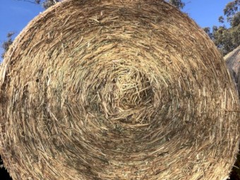 Oaten Hay