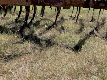 Scarifier