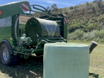 Lucerne Silage