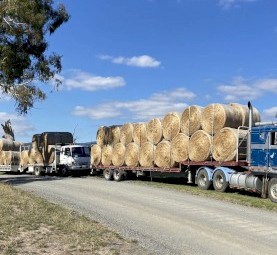 500 x Pasture Hay 5x4 Round Bales