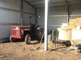 International Harvester 384 Tractor