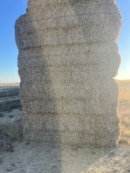 Vetch Hay 600kg Vetch Hay