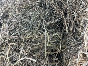 Vetch Hay 600kg Vetch Hay