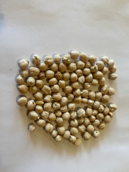 Kabuli Chickpeas