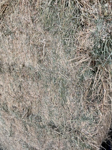200mt Lucerne 620kg 8x4x3 Bales
