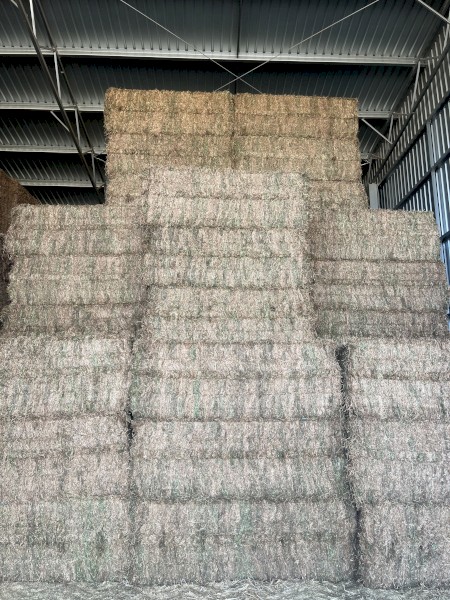 Vetch Hay 2023