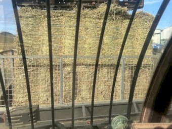 Grass Hay small square bales in bale baron packs