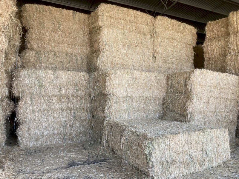 Oaten Hay