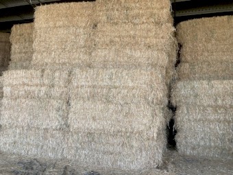 Oaten Hay