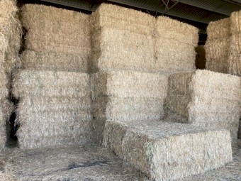 Oaten Hay