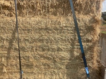 52 X Triticale Hay 500kg 8x4x3 Bales
