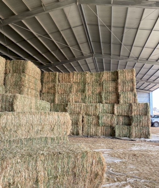 Oaten Hay 5x4 Rolls