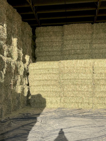 Organic oaten hay NOP certified