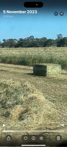 100mt Oats and Vetch Hay 680kg 8x4x3 Bales