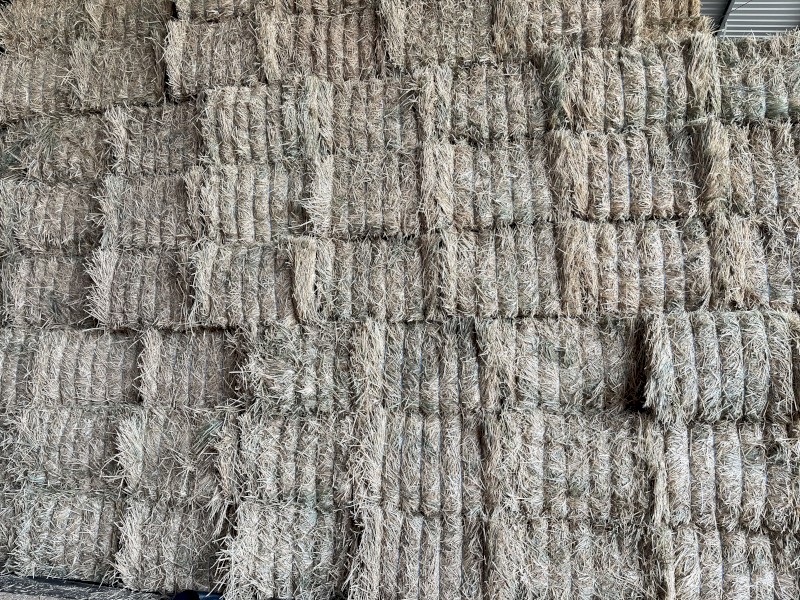 Wheat Hay