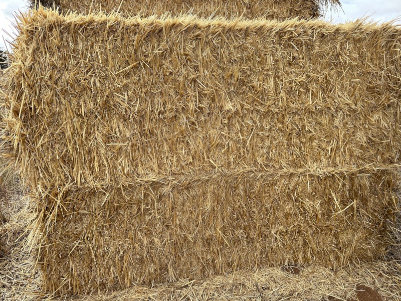 150mt Cereal Rye Hay 8x4x3 Bales