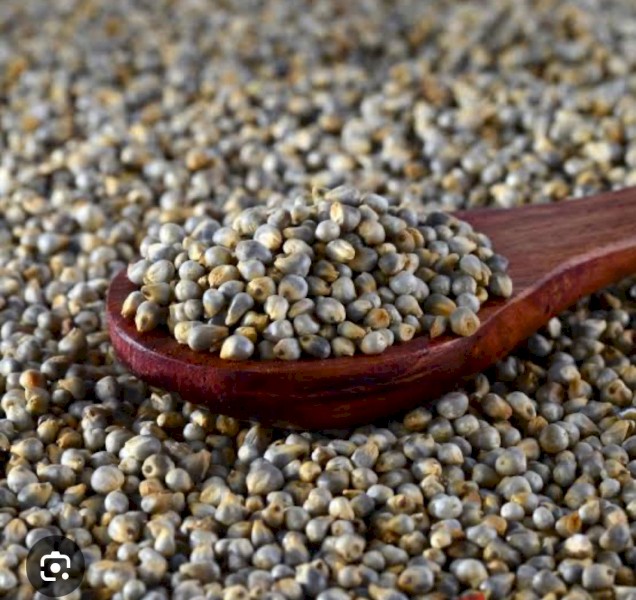 Perl Millet