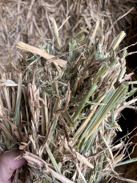 140mt Barley Hay 700kg 8x4x3 Bales