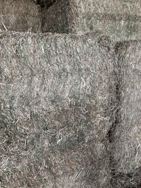 Vetch Hay 660kg 8x4x3 Bales