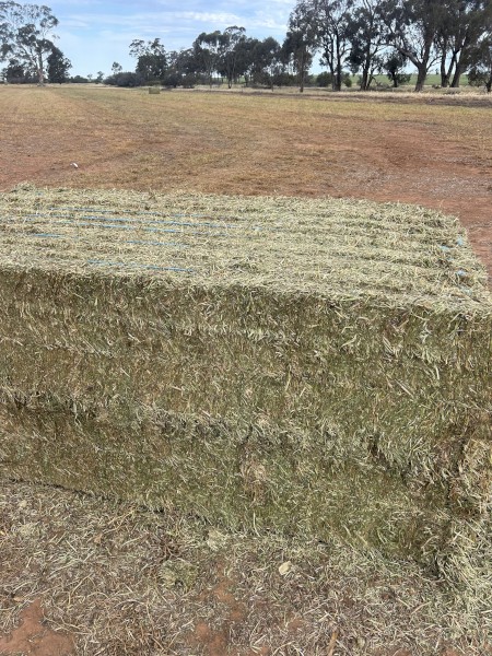 550mt Vetch Hay 660kg 8x4x3 Bales