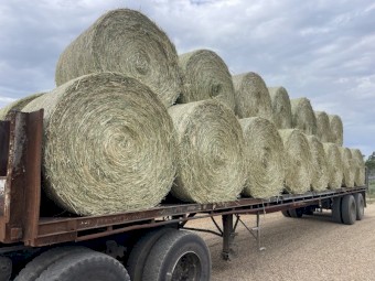 70 x Lucerne/Clover/Oaten Hay 5x4 Bales