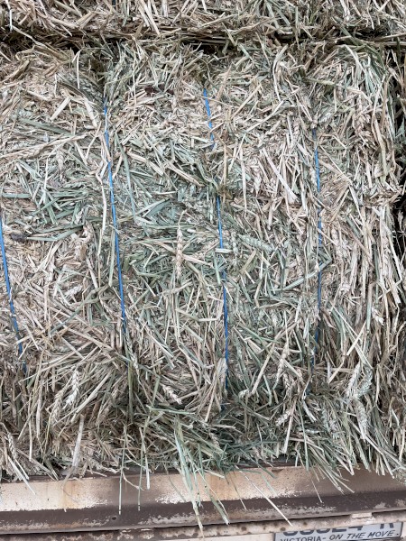 Hay and Straw 8x4x3 Bales