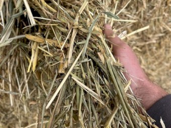 Hay and Straw 8x4x3 Bales