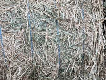 Hay and Straw 8x4x3 Bales