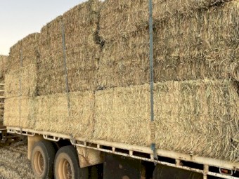 Hay and Straw 8x4x3 Bales
