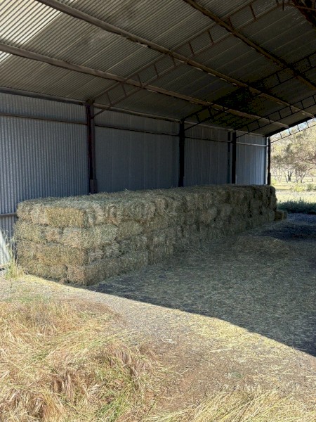 350 x Wheaten Hay Small Square Bales
