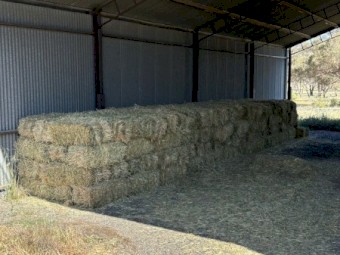 350 x Wheaten Hay Small Square Bales