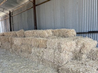 Oaten Small Square Bales