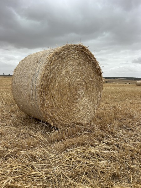 Oaten Straw Rolls