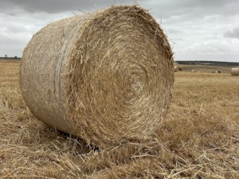 Wheat Straw Rolls