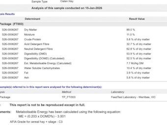 Oaten Hay 8x4x3 Bales