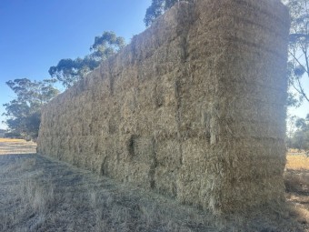 Oaten Hay 8x4x3 Bales