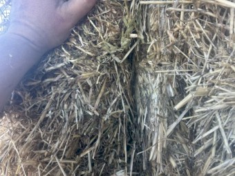 Oaten Hay 8x4x3 Bales