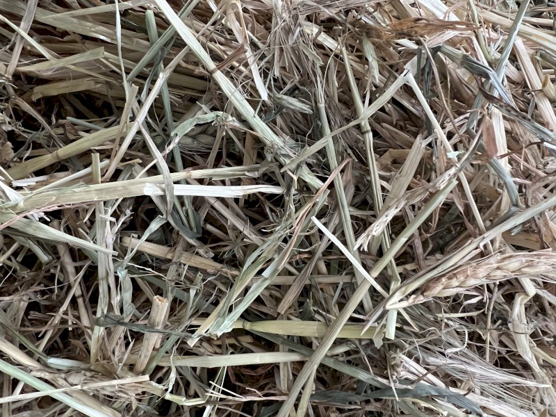 Wheaten Hay 8x4x4 Bales