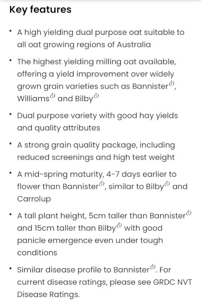 Goldie Oat Seed