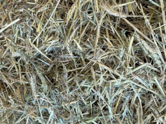 Wheaten Hay 500kg 8x4x3 Bales