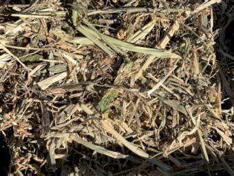 Lab Lab Cowpea Millett Sorghum Mix Hay Small Squares
